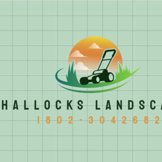 Avatar for T's Landscape