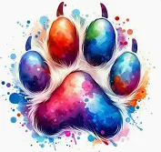 Avatar for YOUNES BAALLA