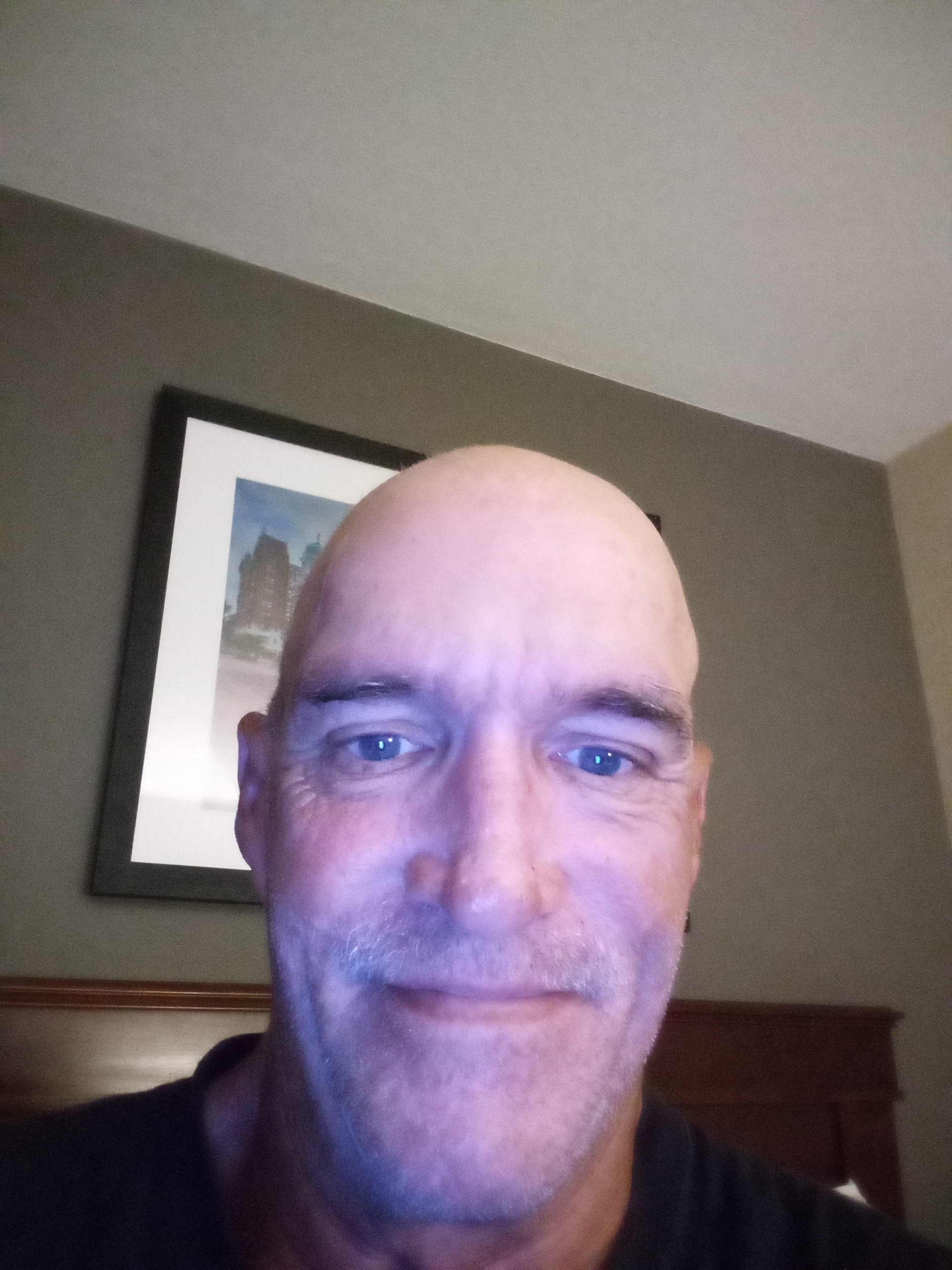 Avatar for Peterson painting 