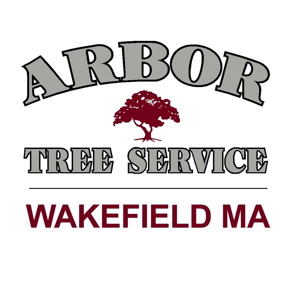 Logo for Arbor Tree Service