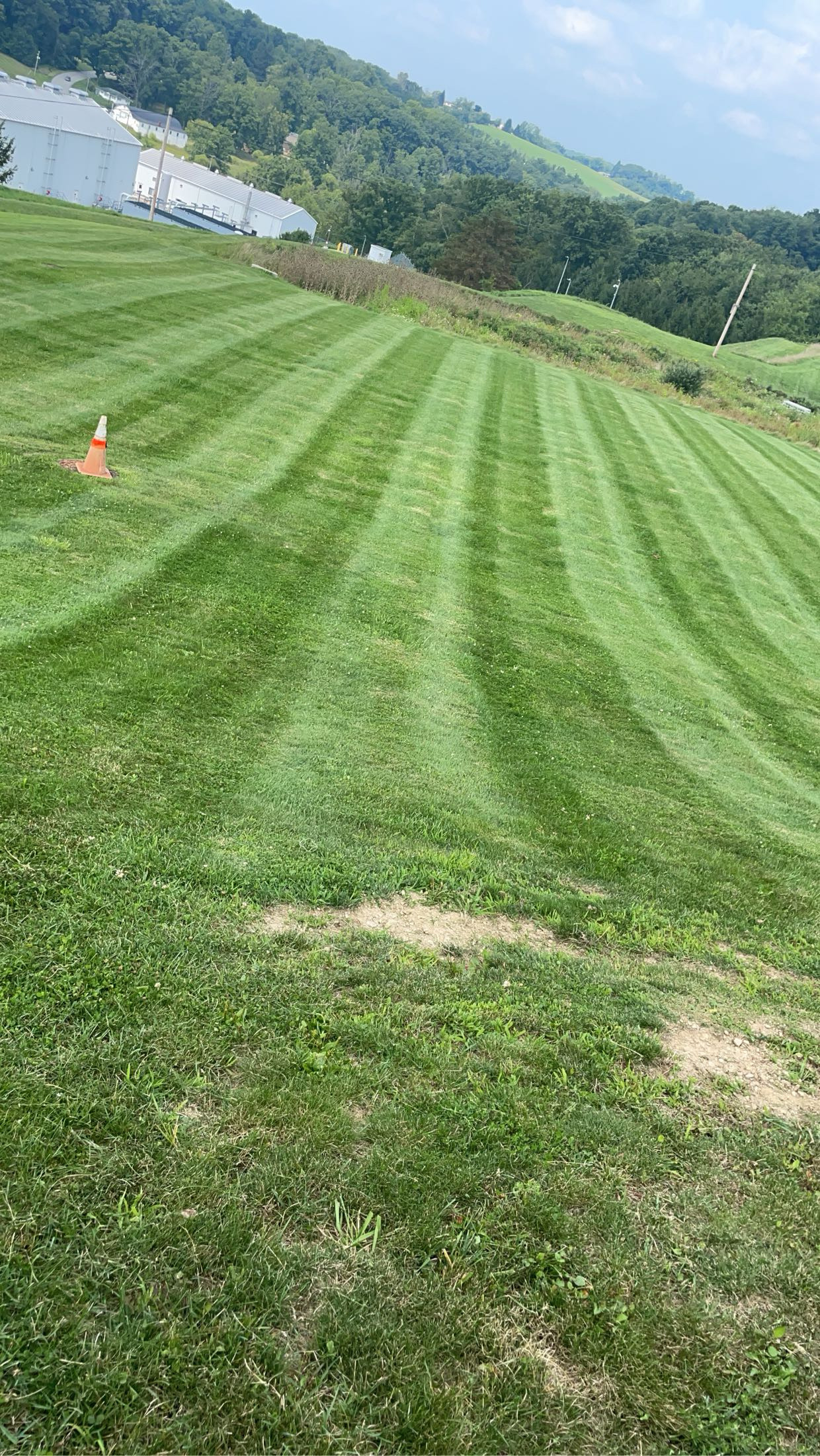 Avatar for Loughreys lawn care 