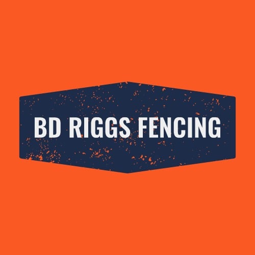 Avatar for BD Riggs Fencing