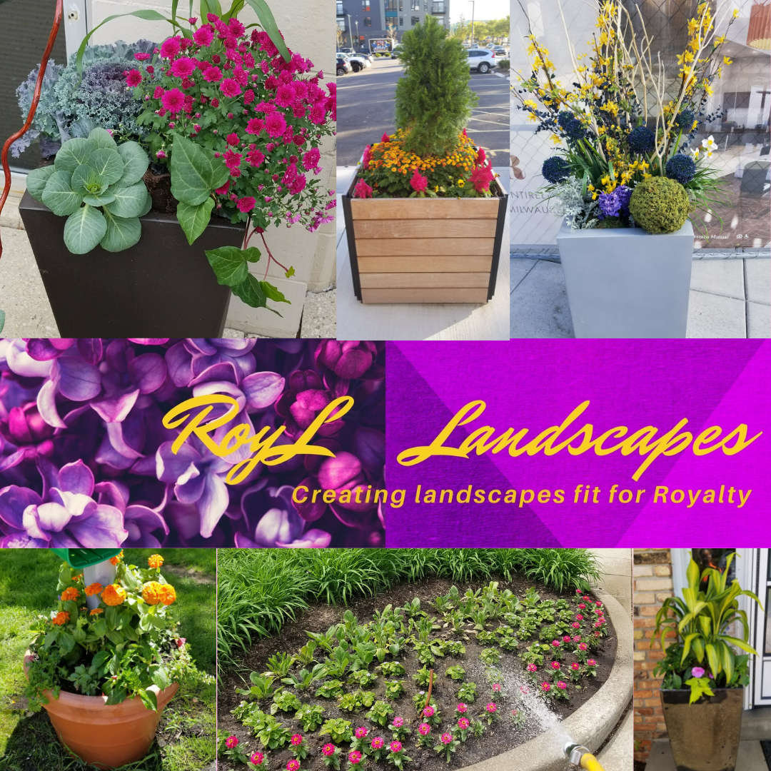 Avatar for RoyL Landscapes LLC