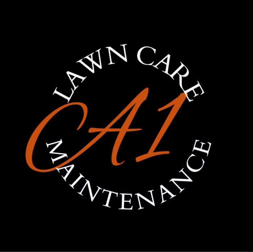 Avatar for A1 Lawn & Handyman Services 