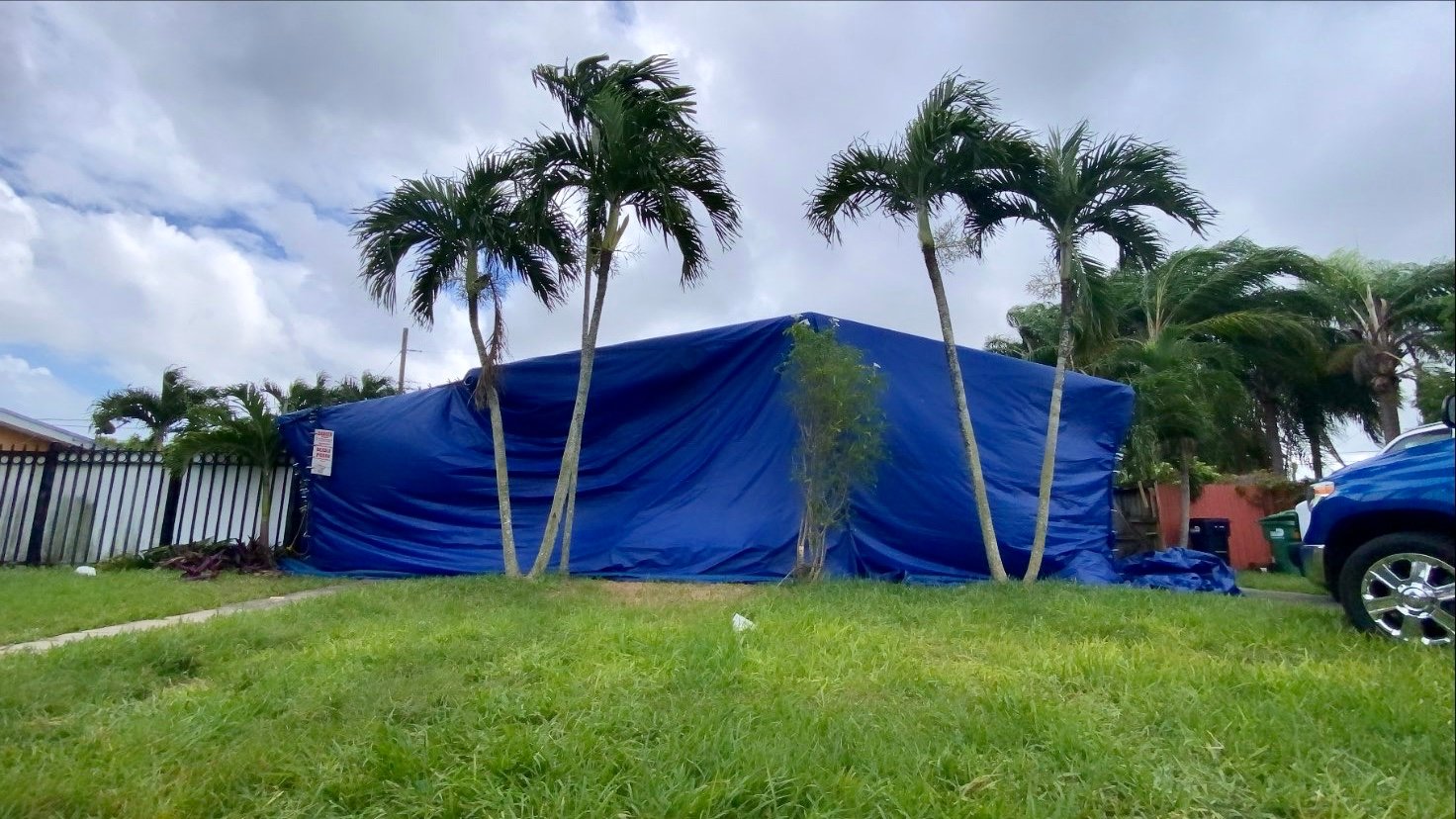 Avatar for TERMITE STRIKE LLC