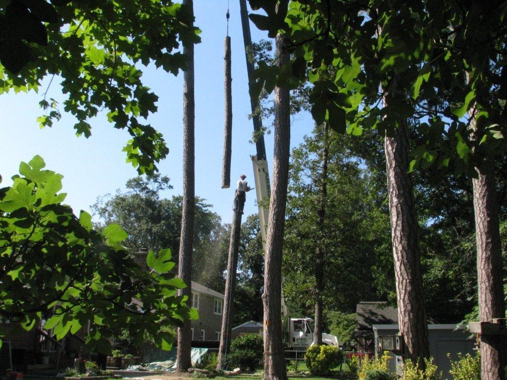 Crane Removal