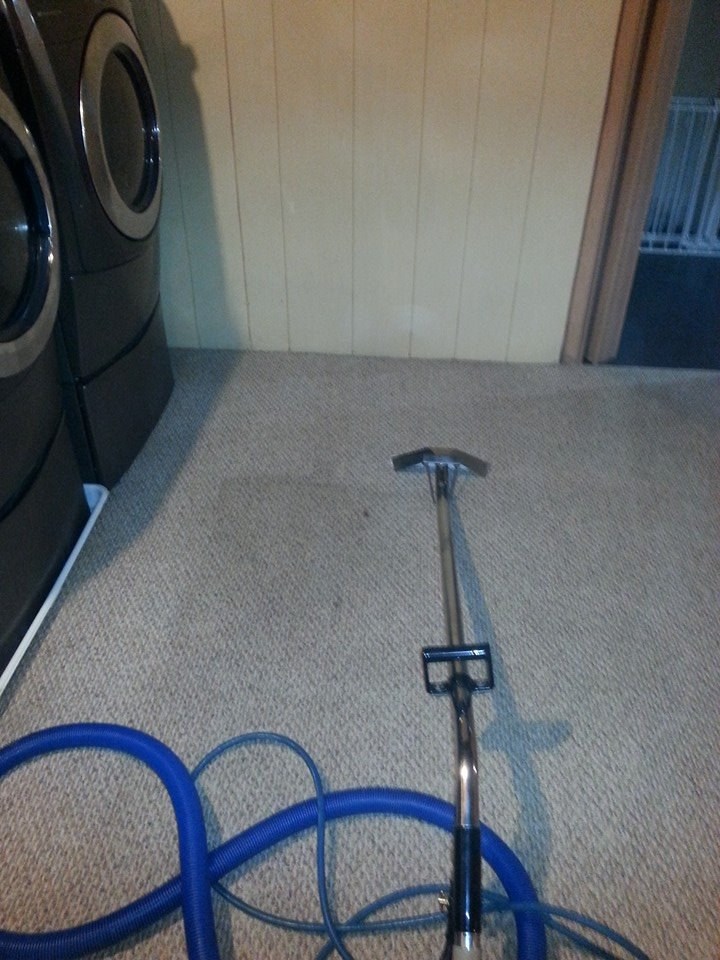 Avatar for Dimensional Services