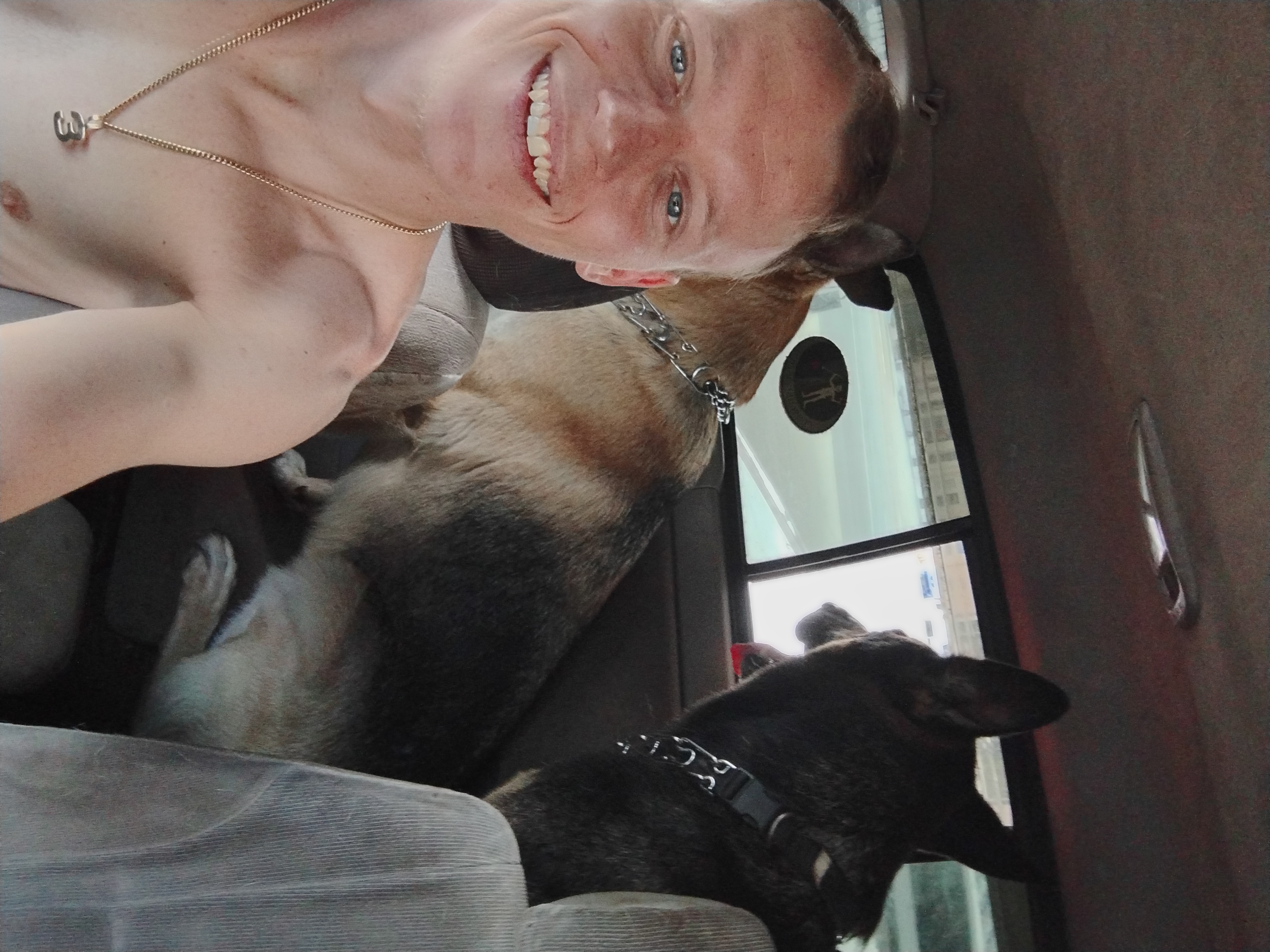 Avatar for Pestbuster