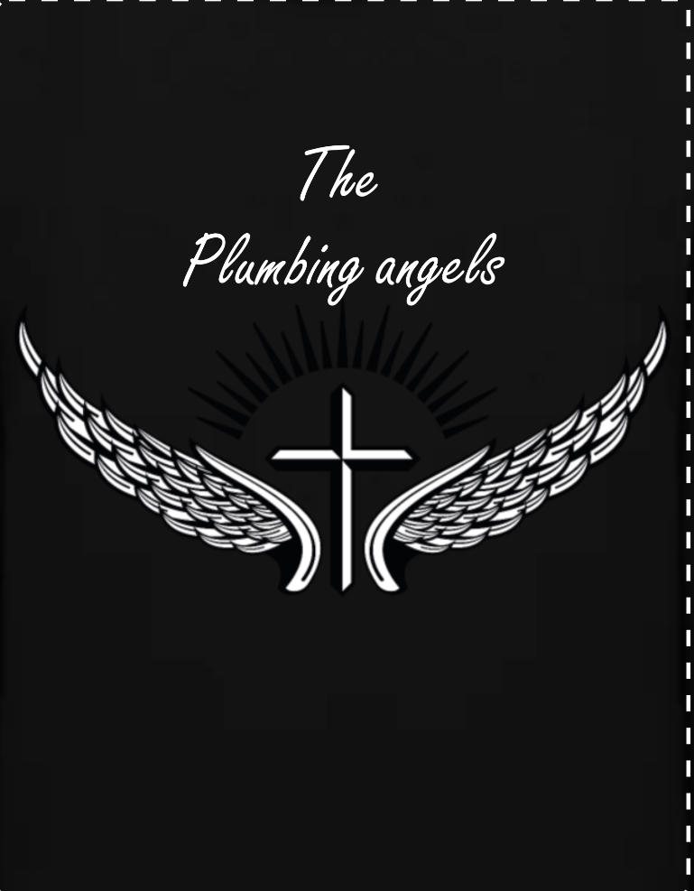 Avatar for The plumbing angels