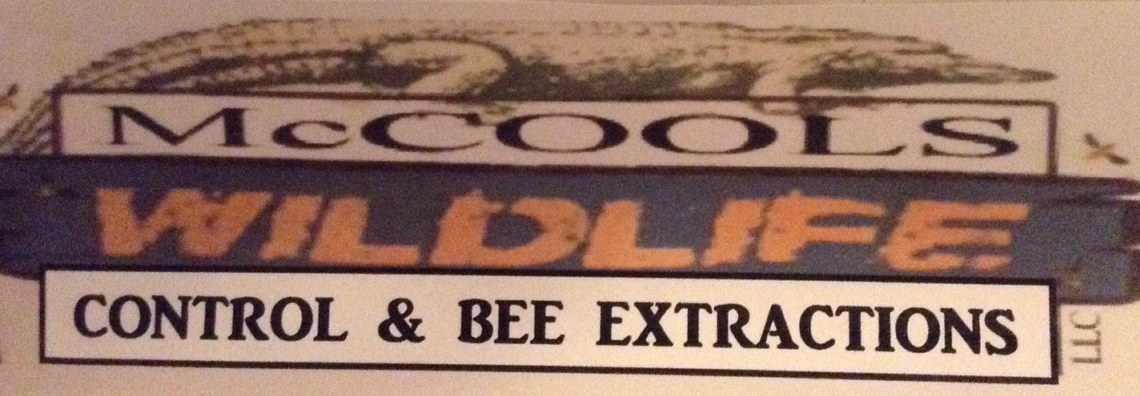 McCool's Wildlife Control & Bee Extraction, LLC logo