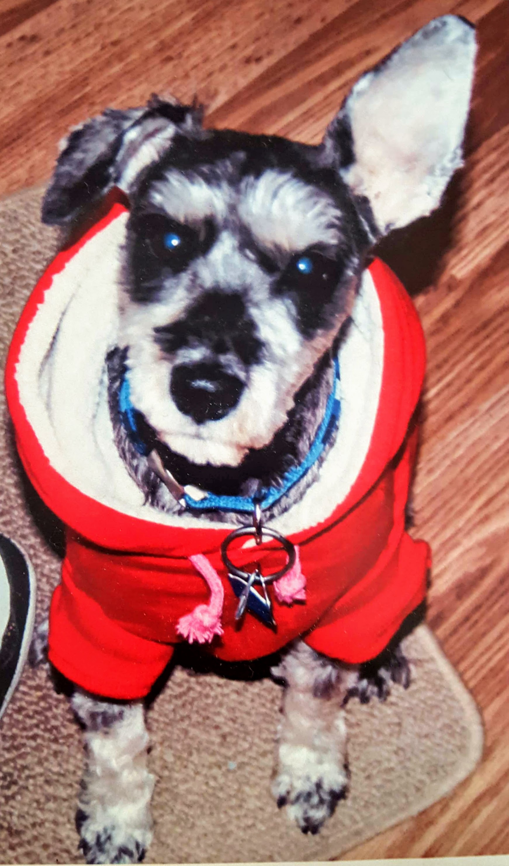 Avatar for Brittney Moriarity