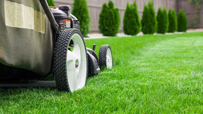 Avatar for Andos Landscape Maintenance & General Cleaning Services 