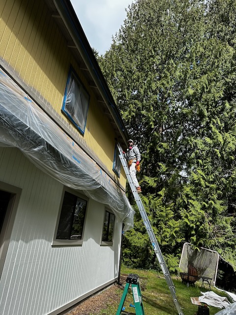 Avatar for R&M Painting