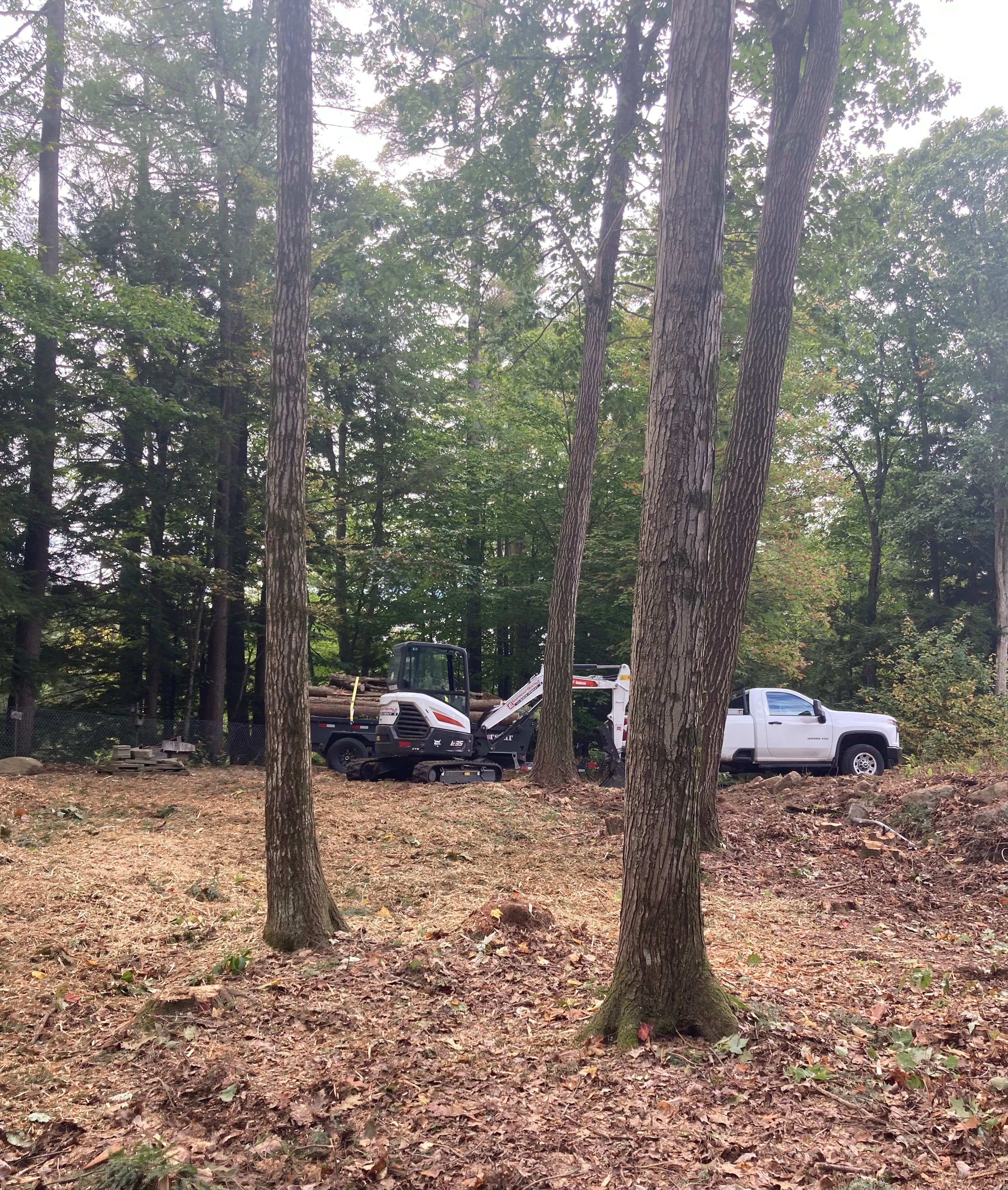 Avatar for Landmark Land Management