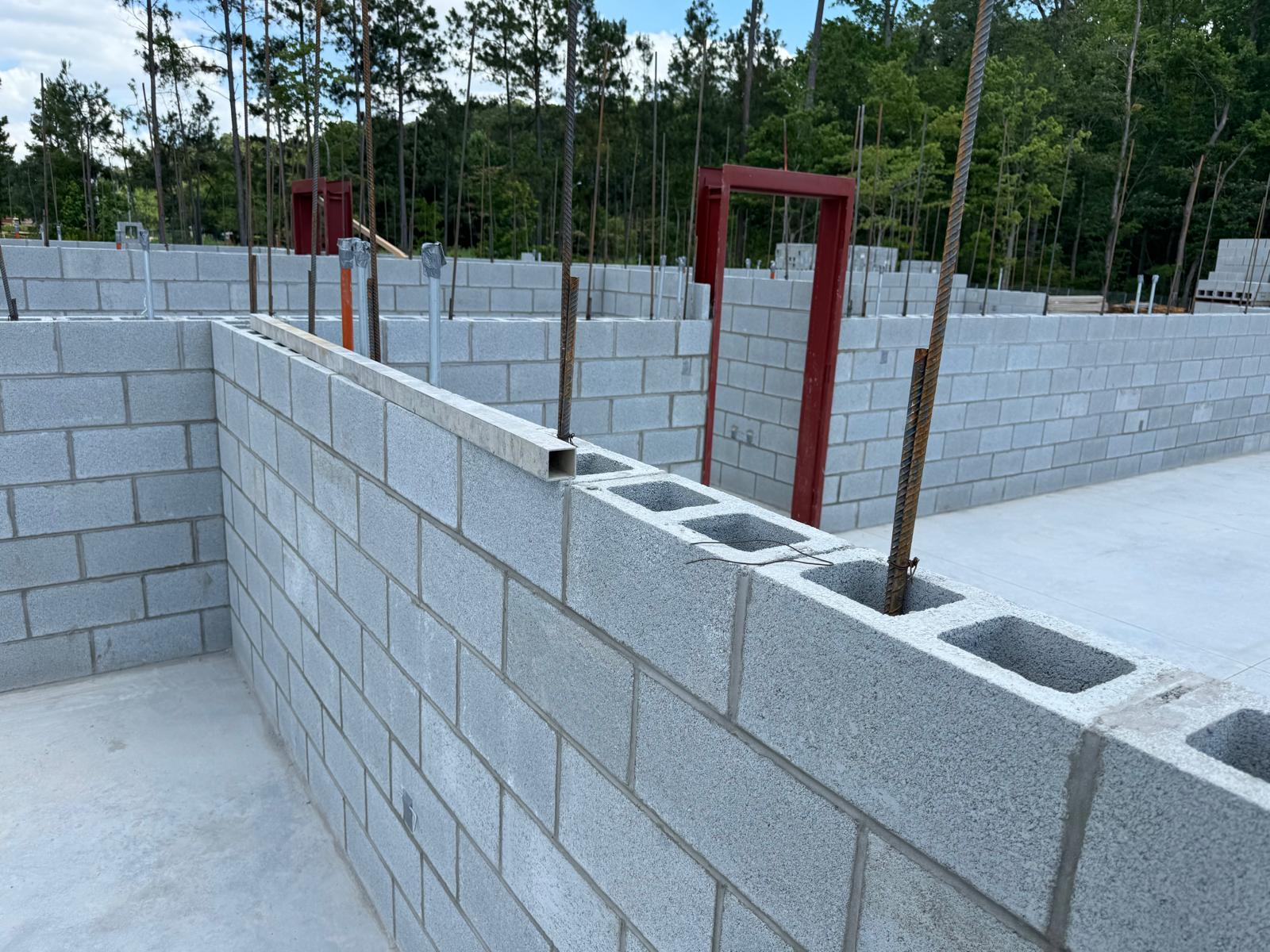 Avatar for blue spider construction corp