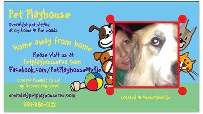 Avatar for Alpha Love Dog Training