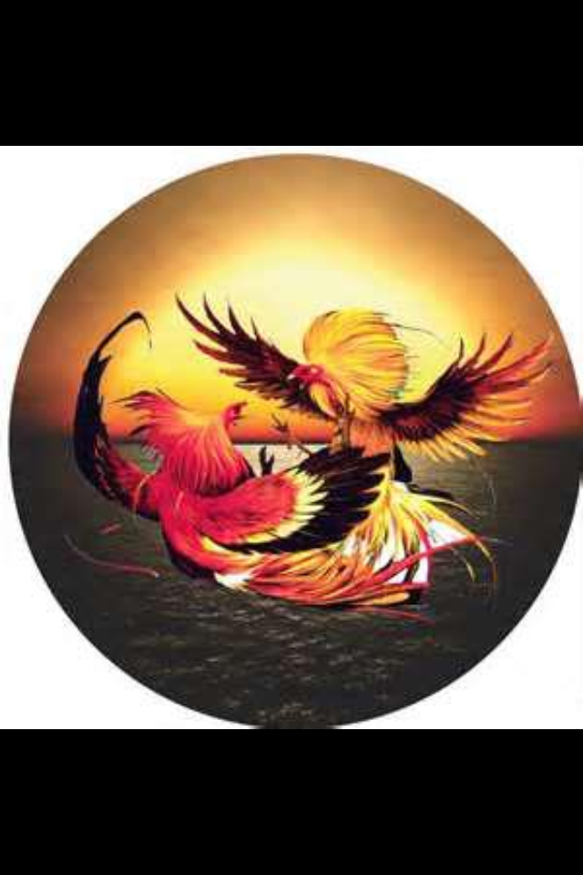 KARLITOZ WAY INC logo