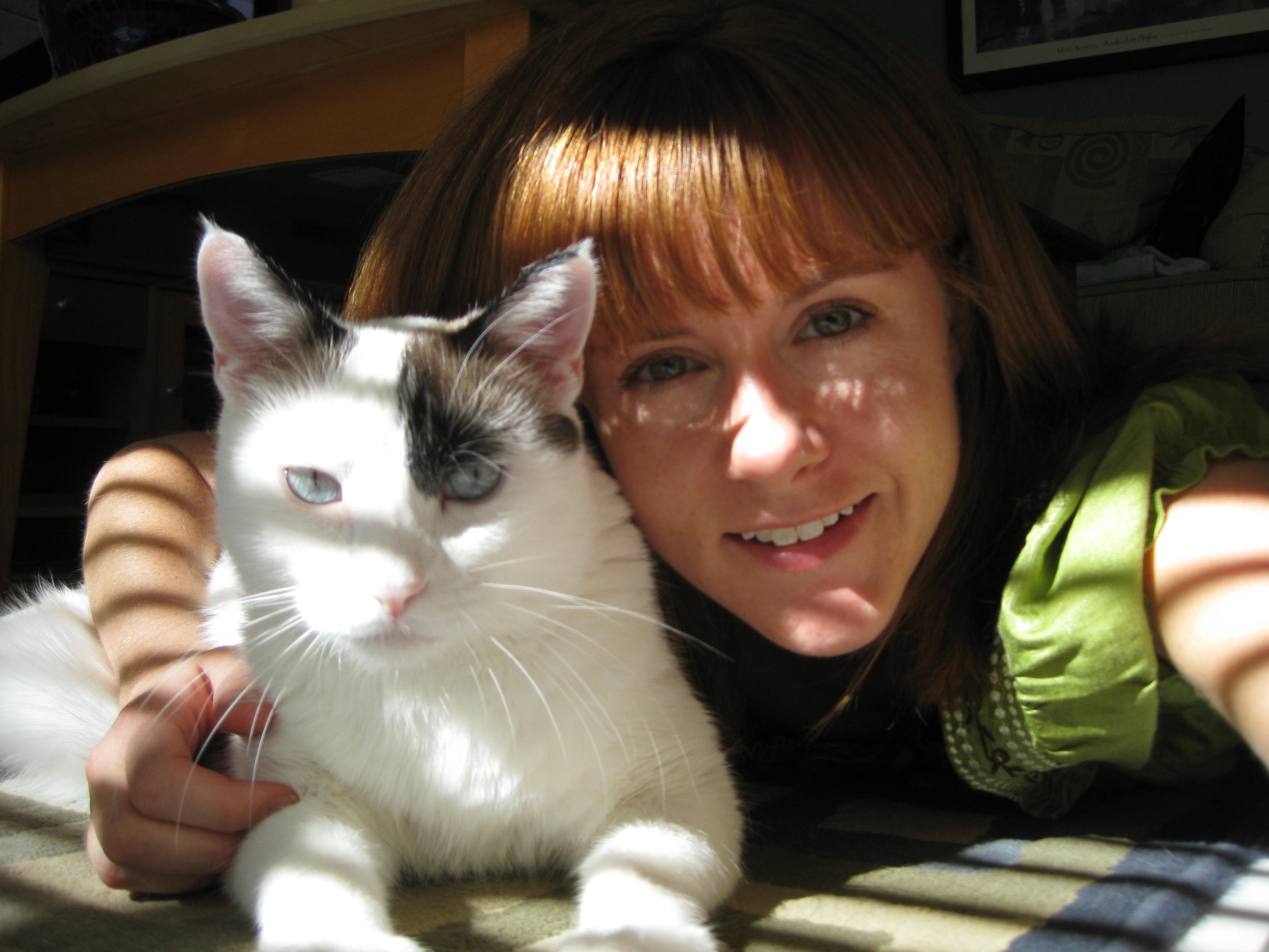 Logo for PRECIOUS PAWS PET SITTING