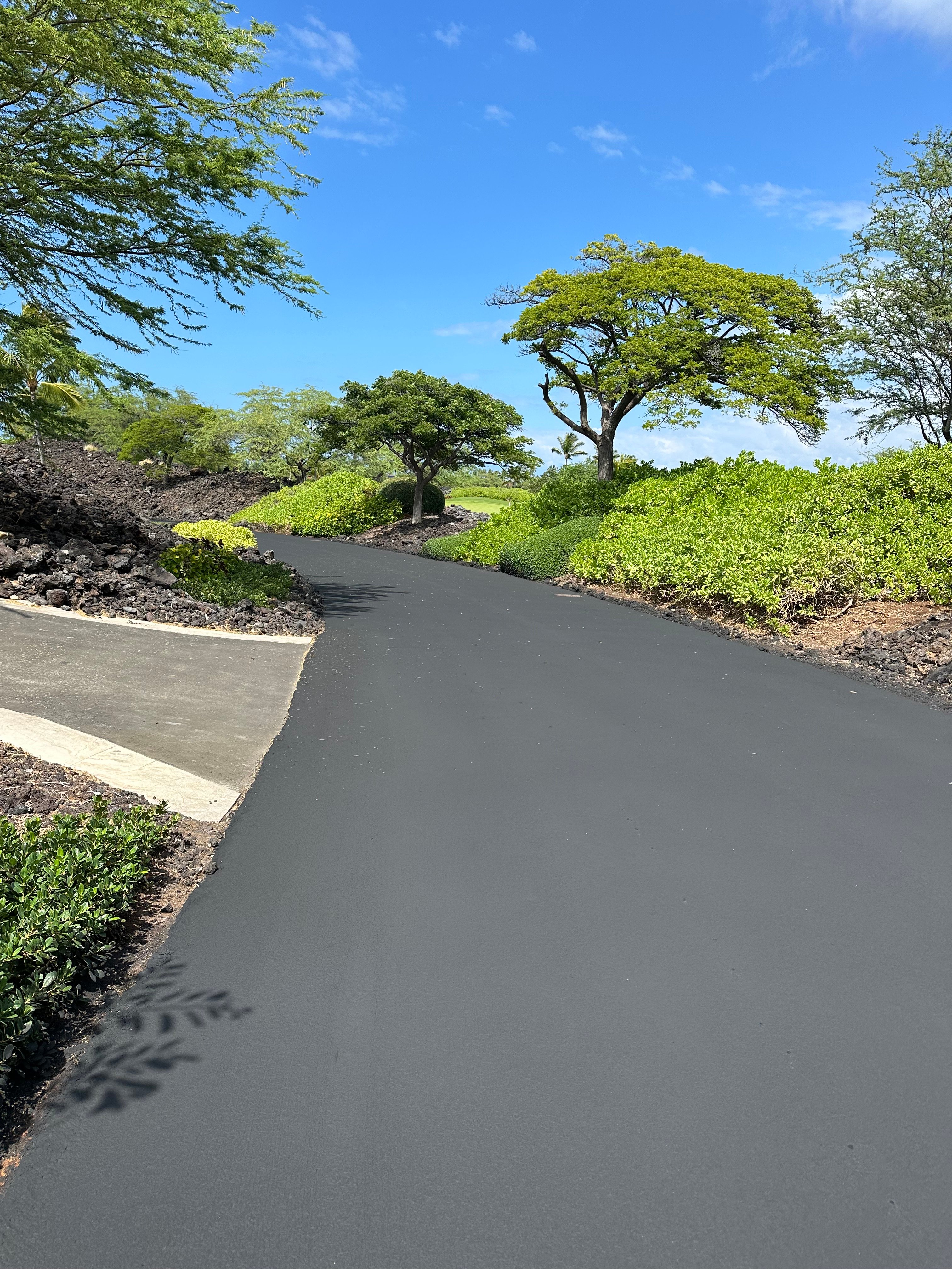 Avatar for Jacob kua 