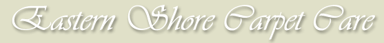 Avatar for Eastern Shore Carpet Care