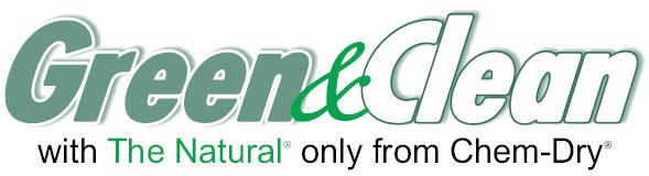 Avatar for Meek's Family Chem-Dry (Chem-Dry of Georgetown)