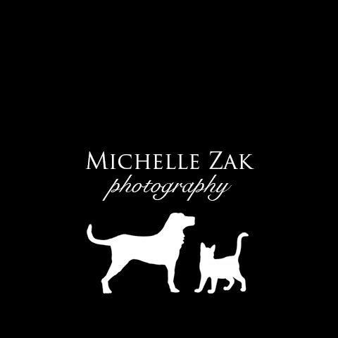 Logo for Michelle Zak Photography
