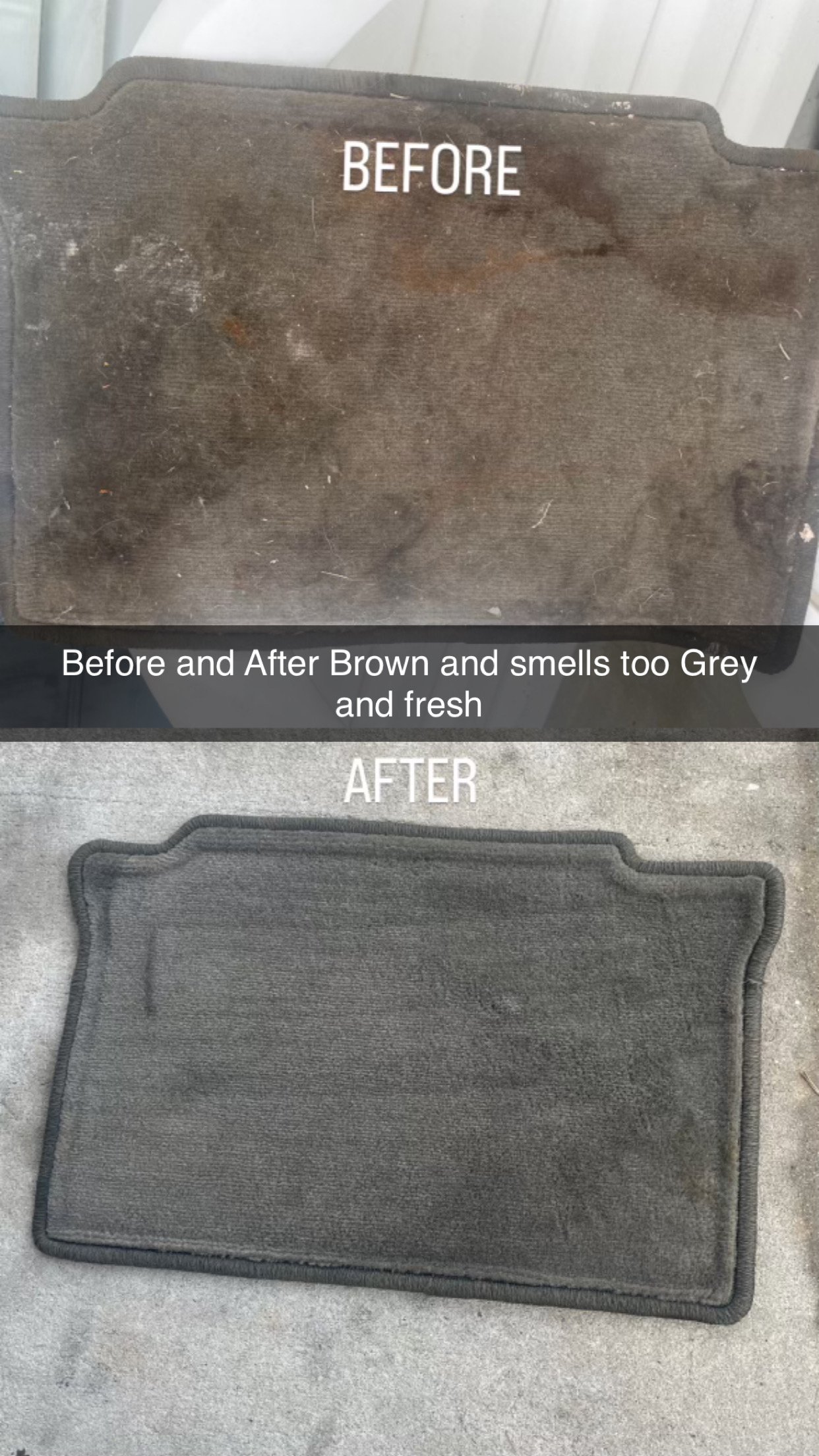 Avatar for Shiv’s Gifted Hands