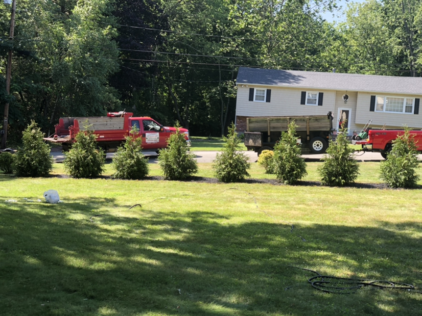 Avatar for Daniel landscaping services 