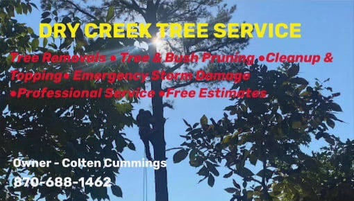 Avatar for Dry Creek Tree Service