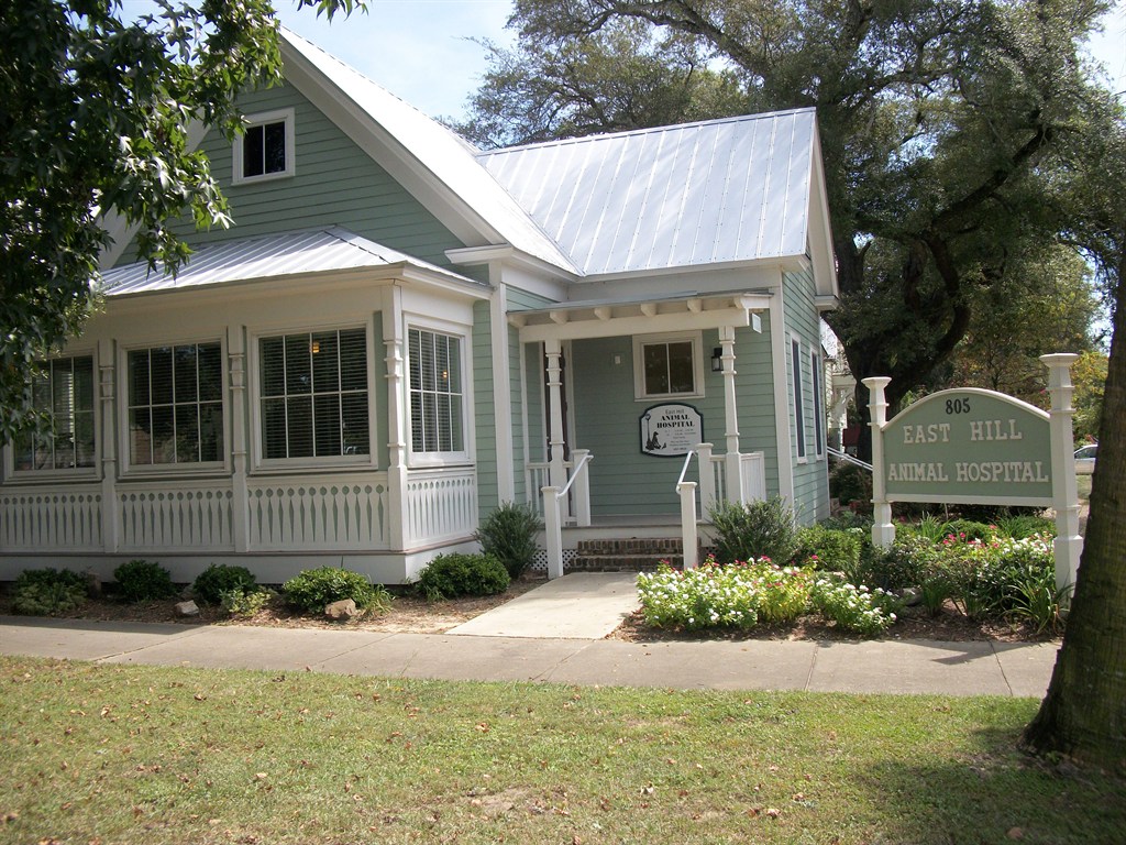 805 East Gadsden Street Pensacola FL 32501