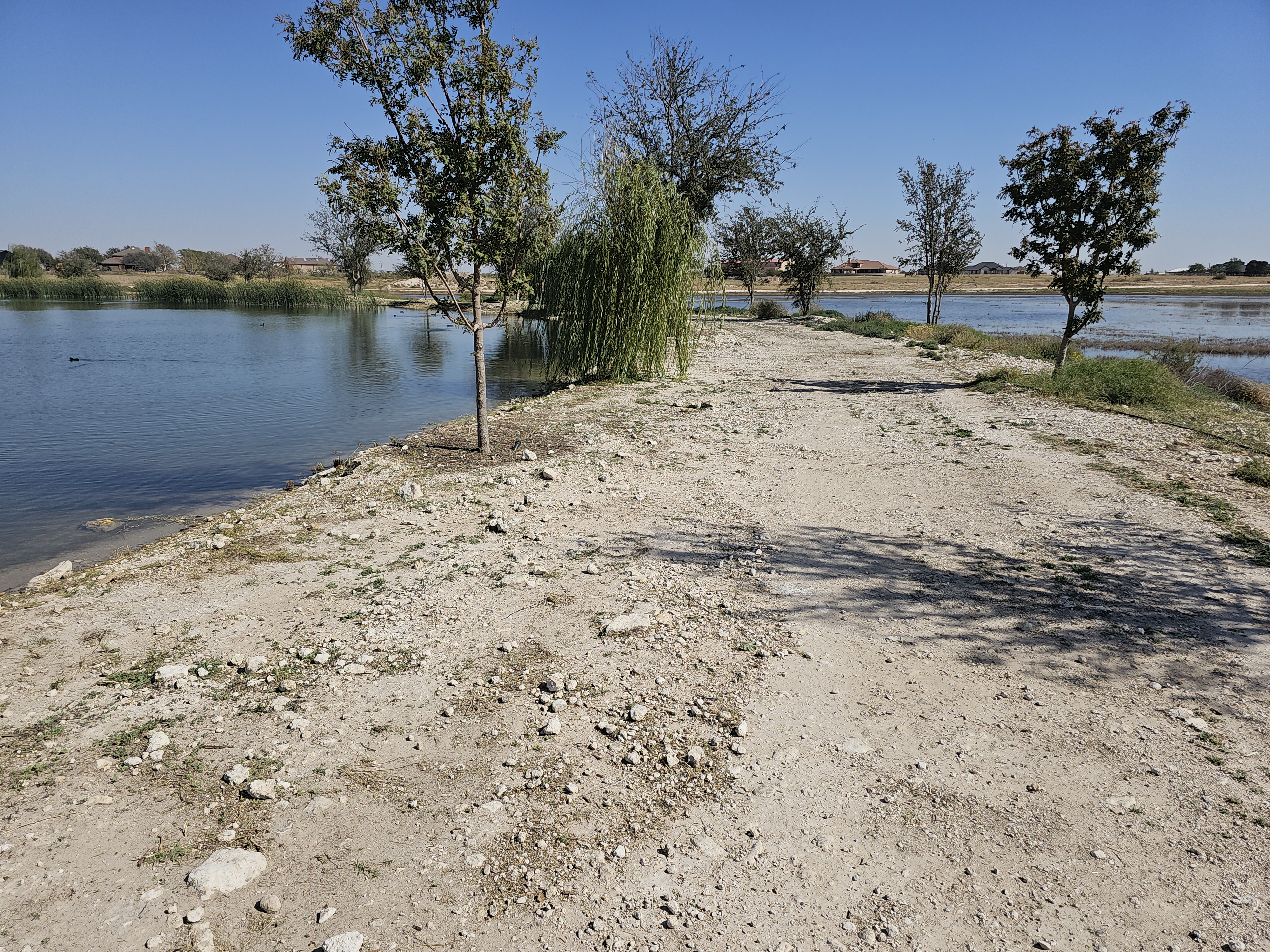 Avatar for Azaria's lawn care and landscaping llc