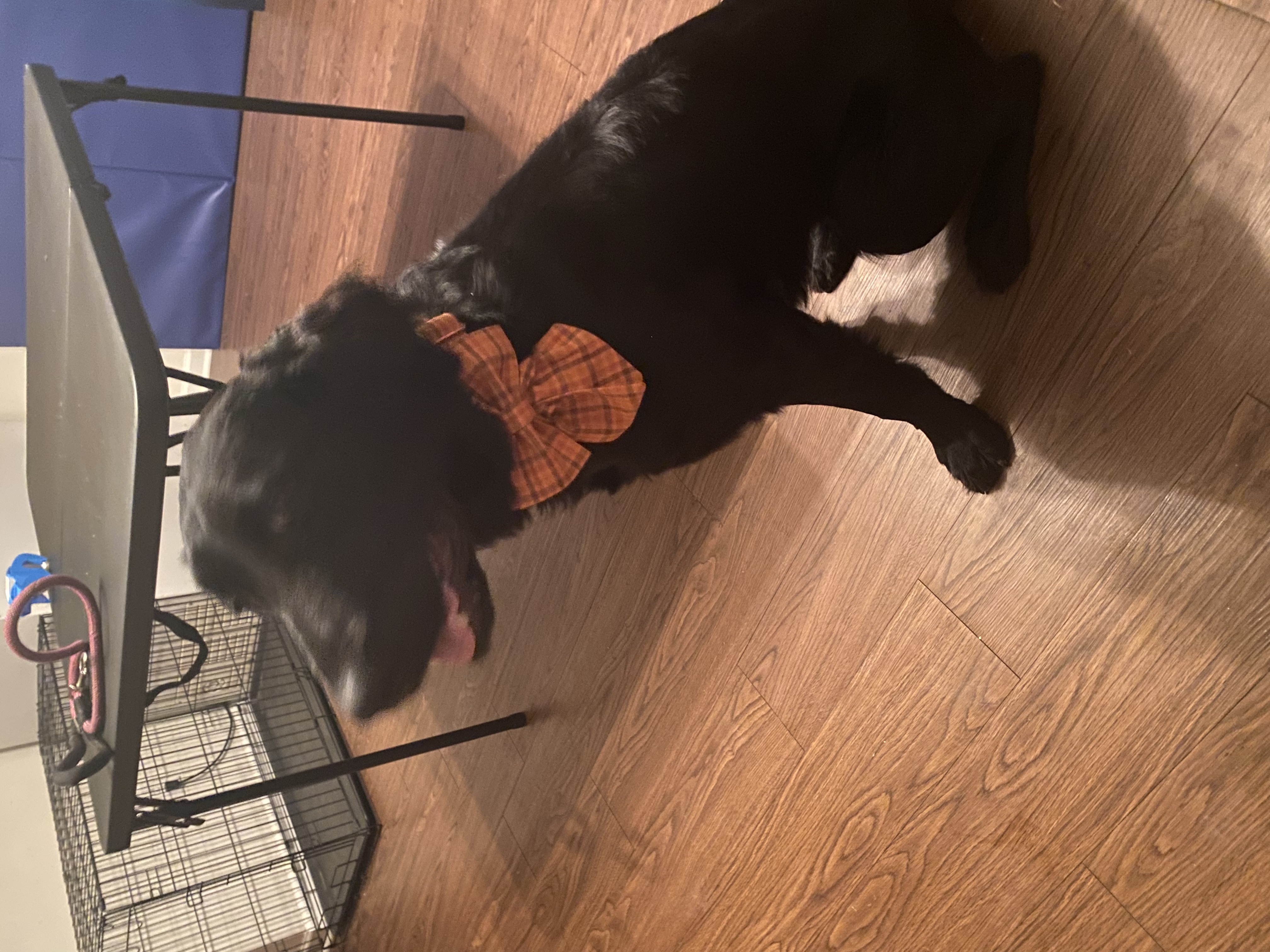 Avatar for SLL Services