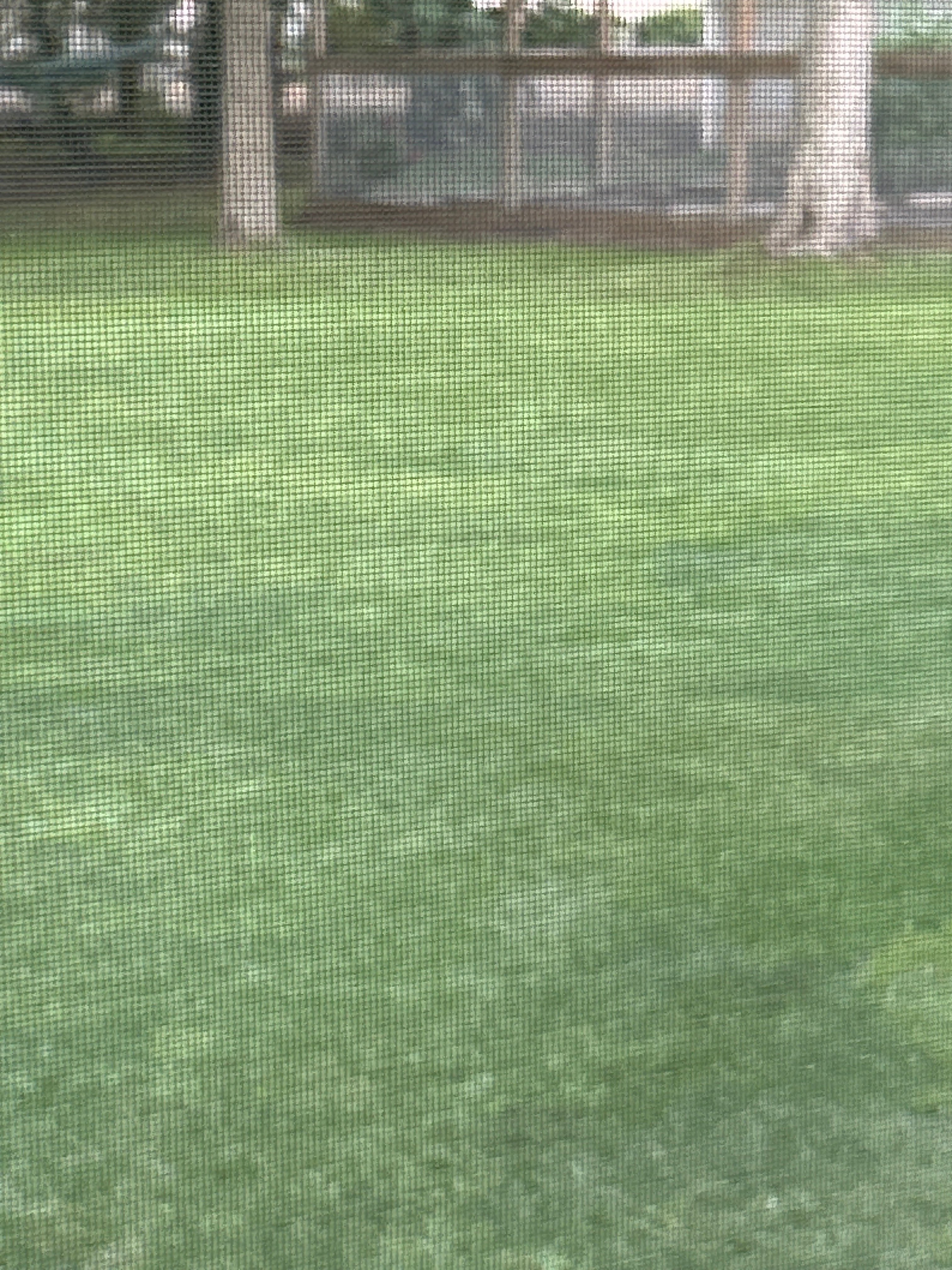 Avatar for Carson schilling