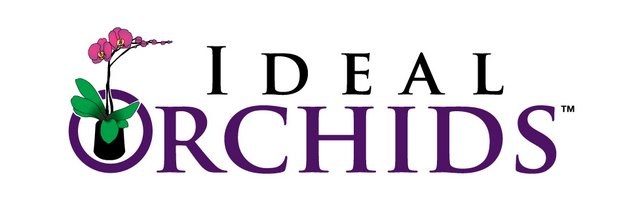 Ideal Orchids logo
