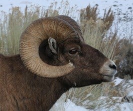 Avatar for Big Horn Water Systems, LLC