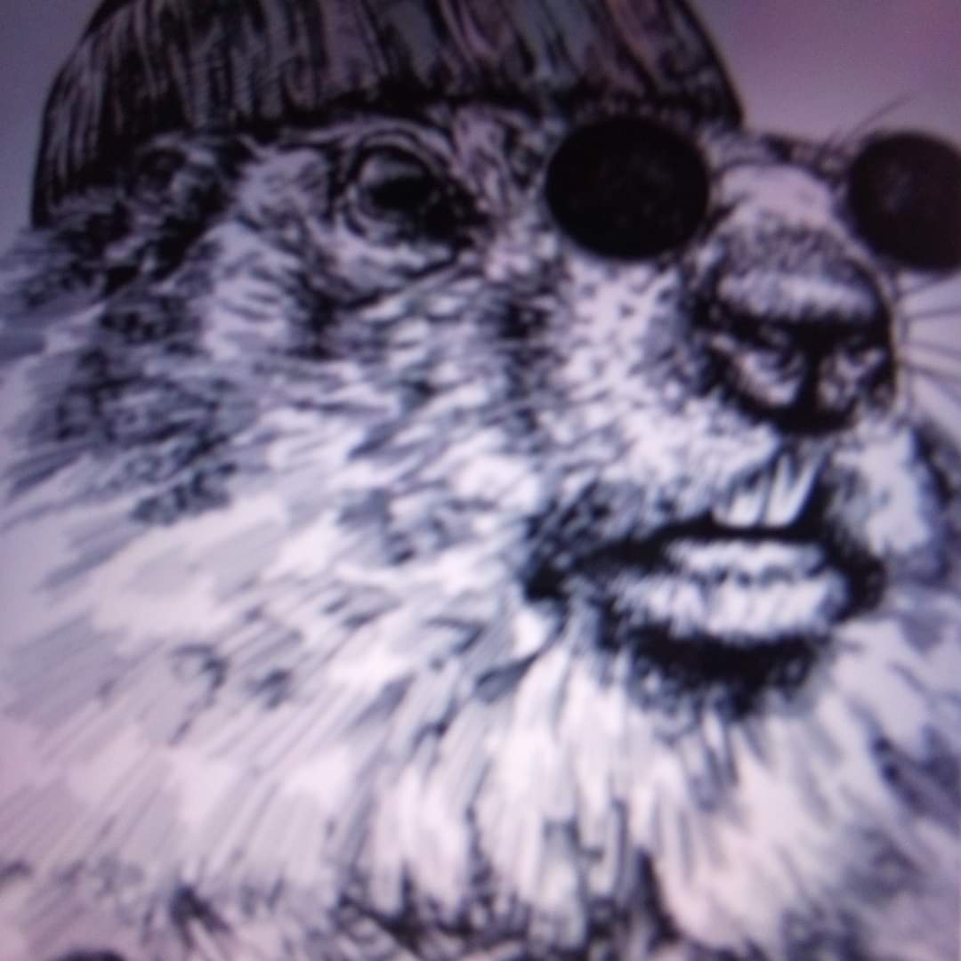 Avatar for Rusti C. Woodchuck 