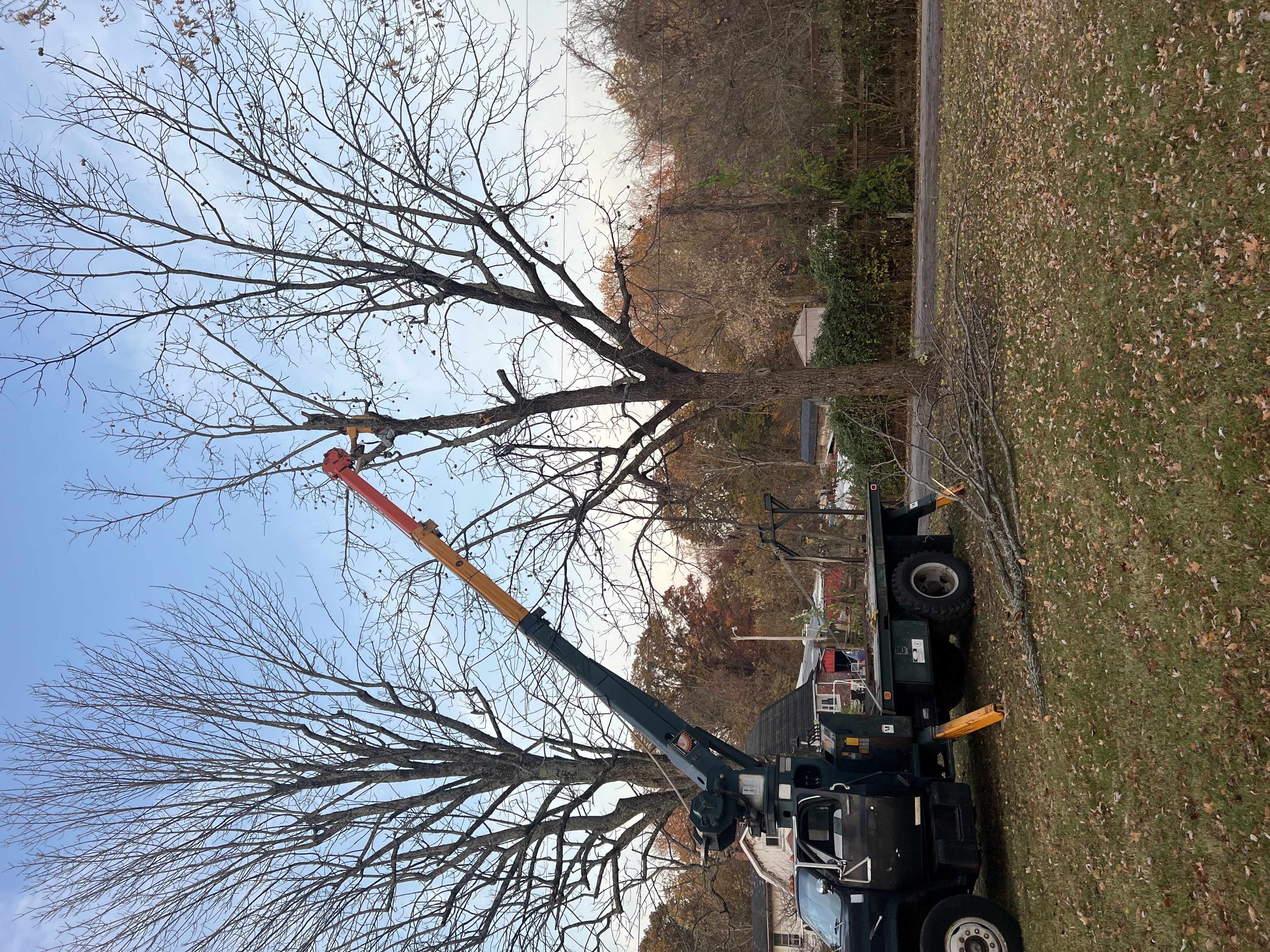 Avatar for All Clean Land Clearing and More LLC