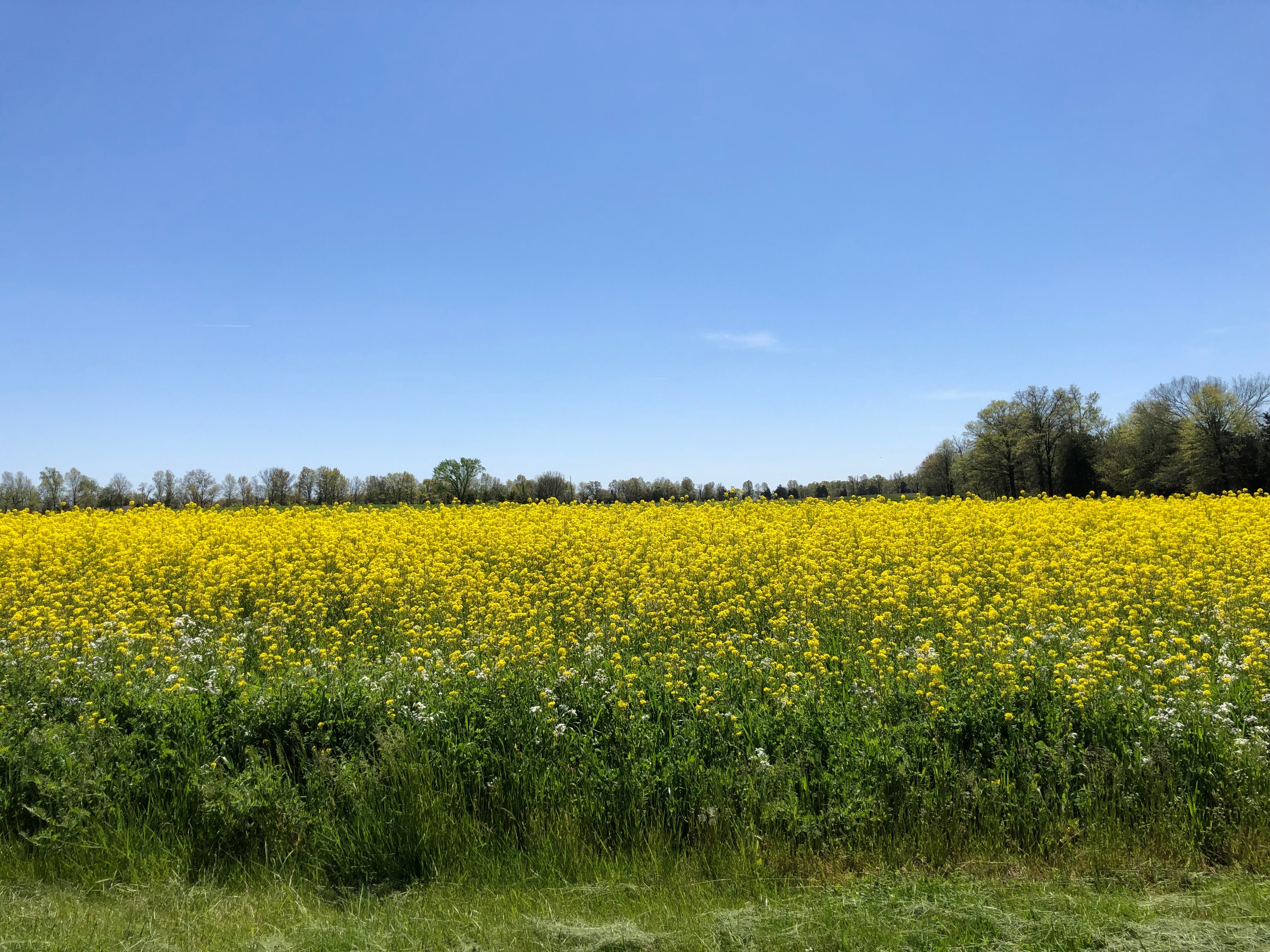 Avatar for Williams contracting