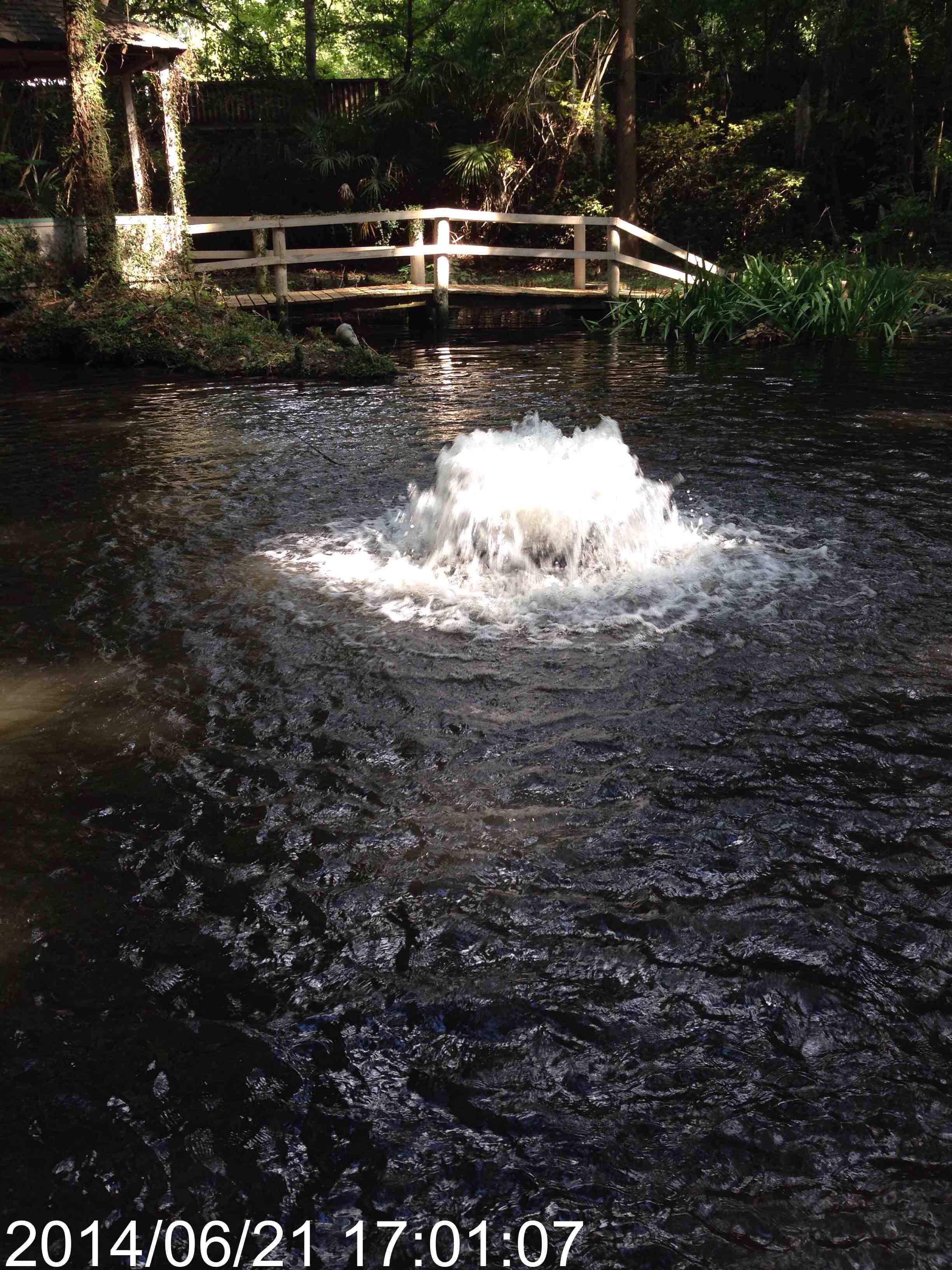 Oxidize Pond Water