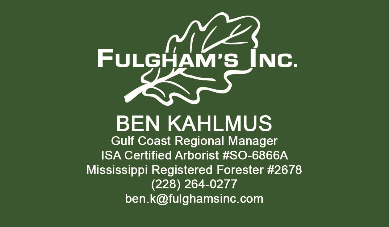 Avatar for Fulghams Inc