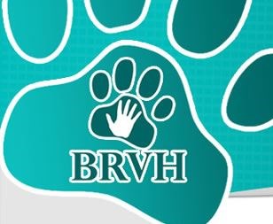 Logo for Bahama Road Veterinary Hospital