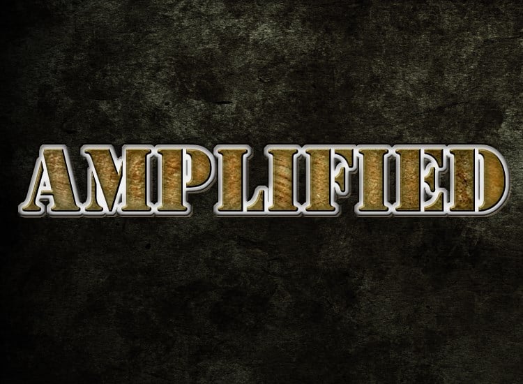 Avatar for Amplified Services