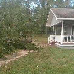 Avatar for J&K Tree Service