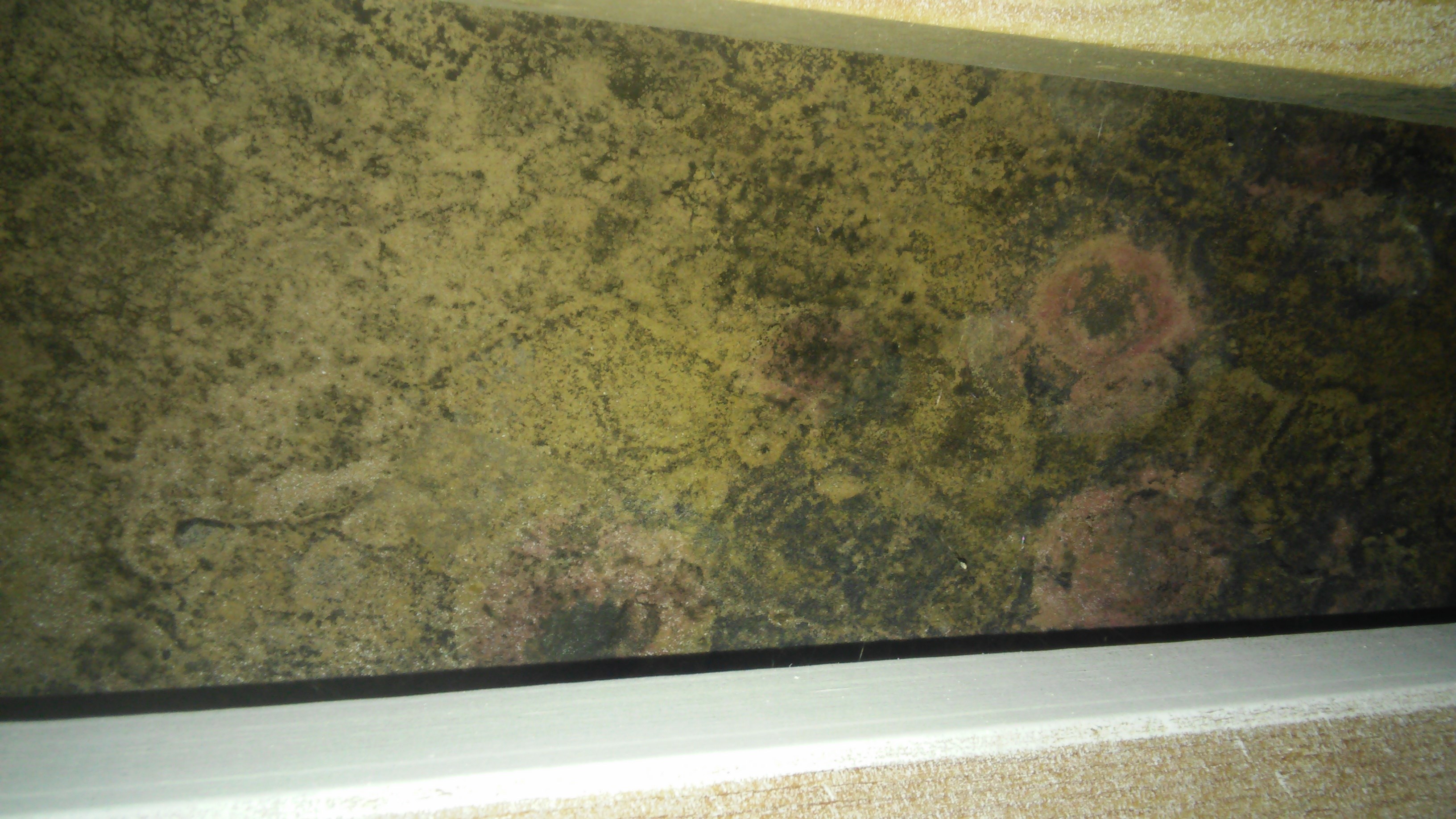 Avatar for JKM Services LLC