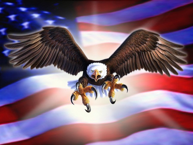 Eagle Air United logo