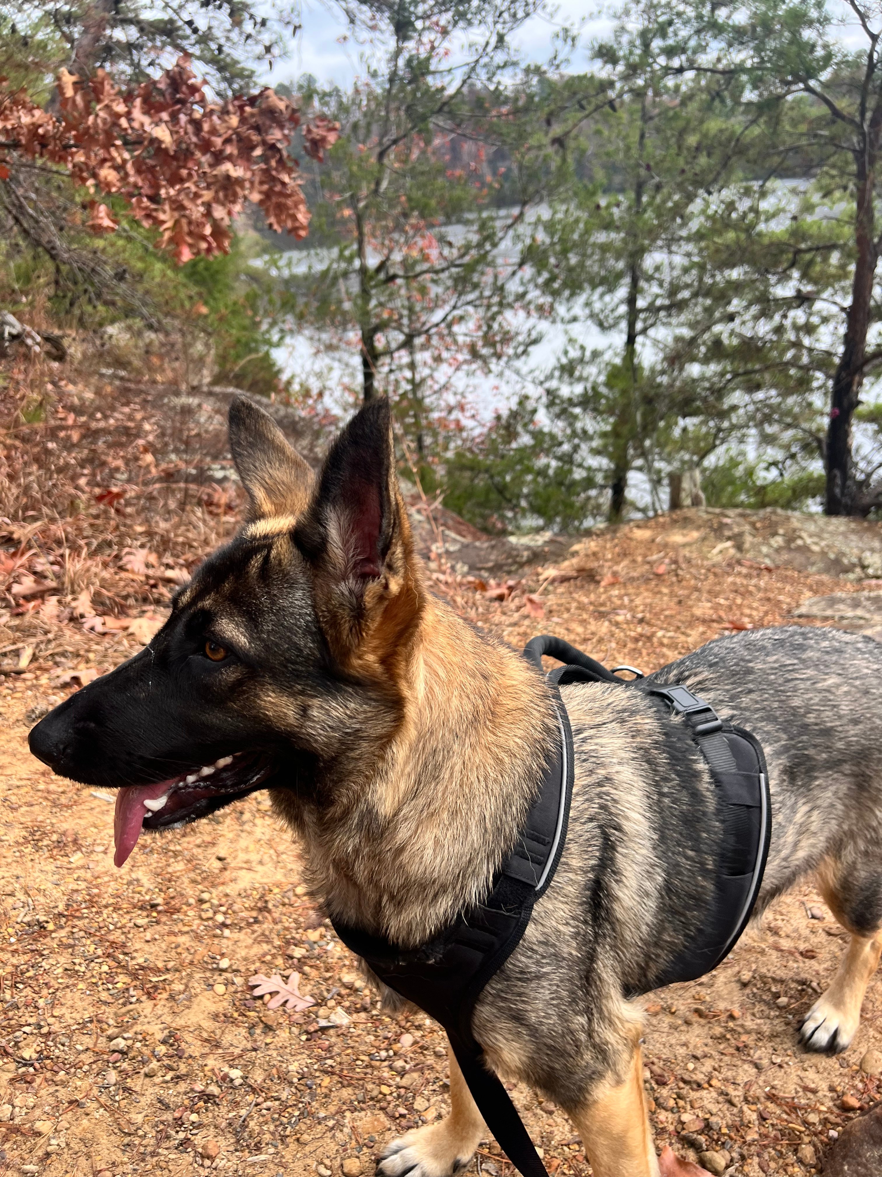 Avatar for J&D’s DryWall & Painting Services