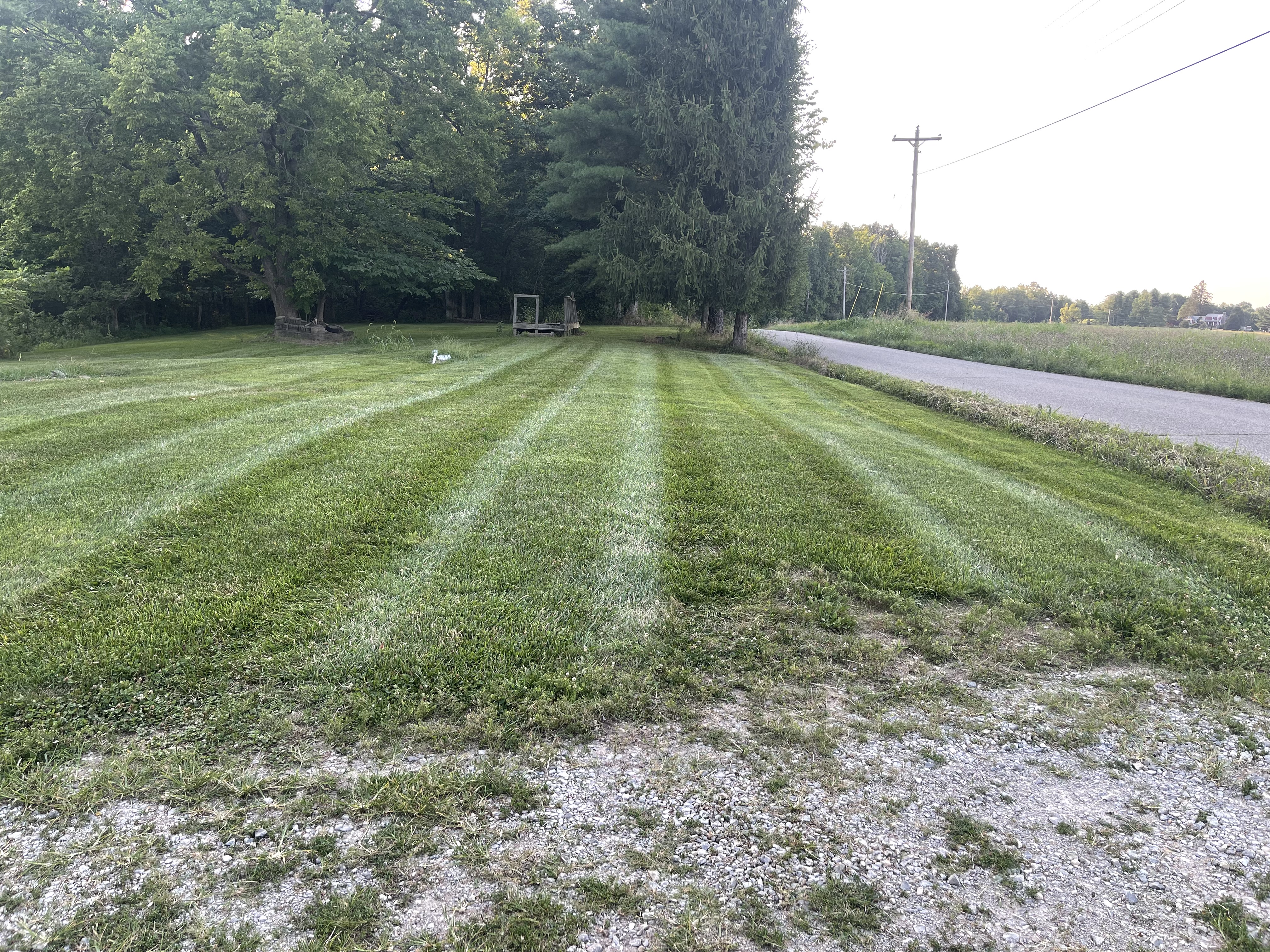 Avatar for Brian Jones