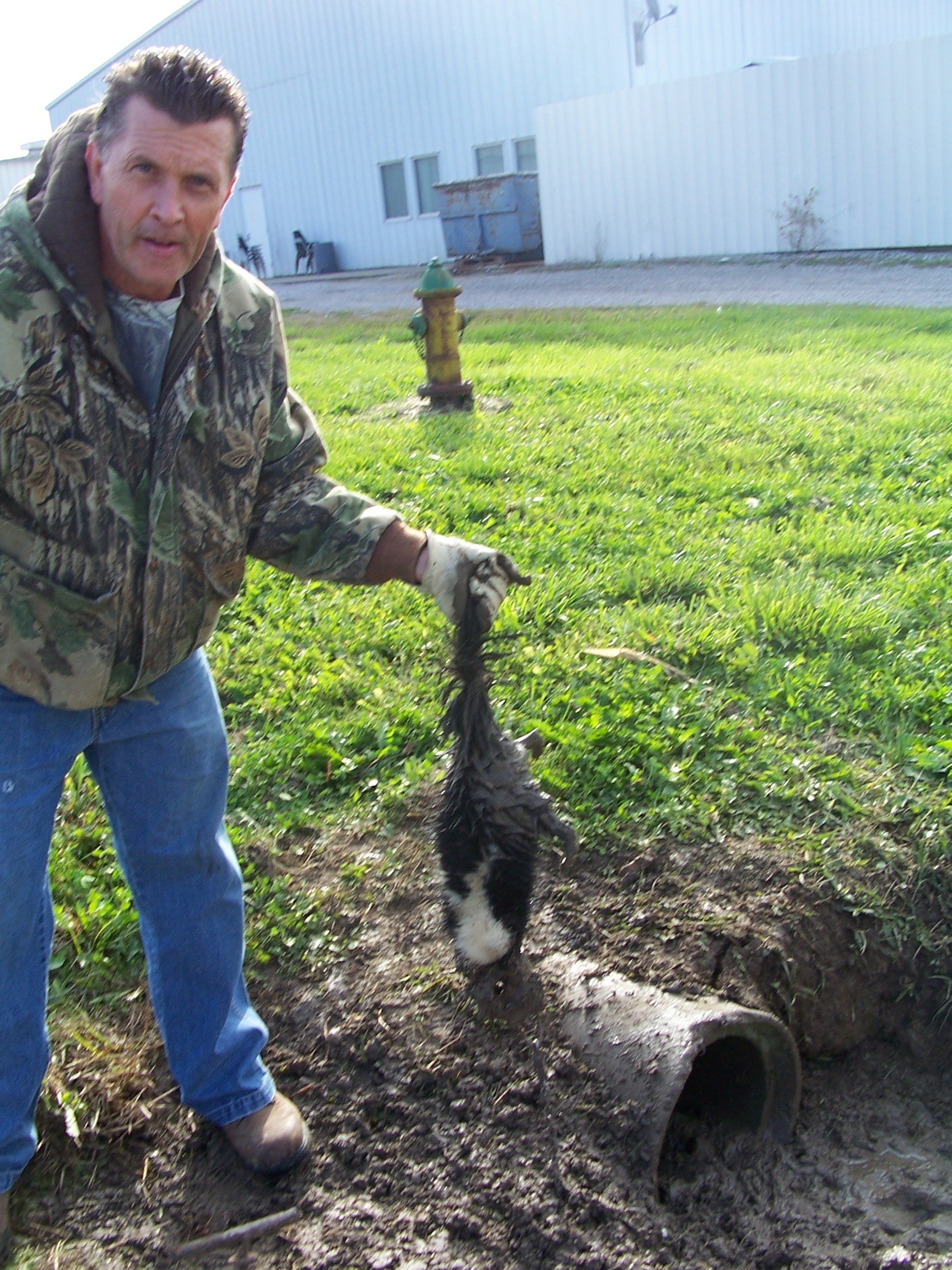 Avatar for Easton's Wildlife & Mole Control