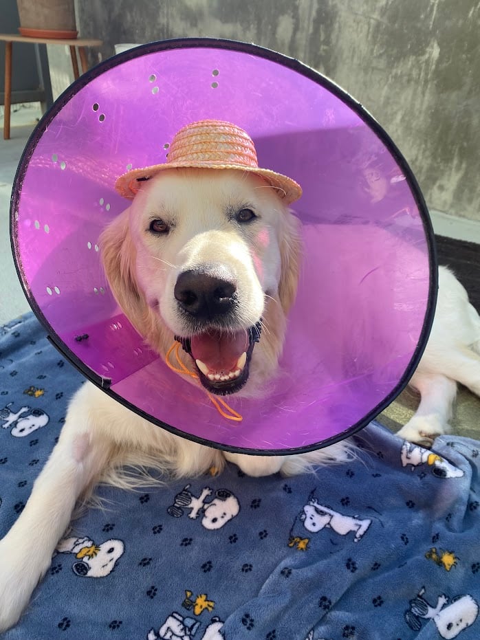 Avatar for Caspers Cleaners