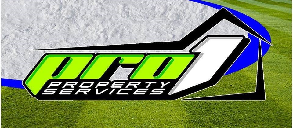 Avatar for Pro 1 Property services